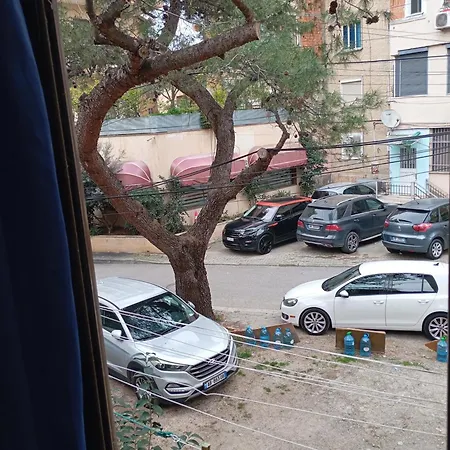Pine Private 17 טיראנה