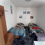 Pine Private 17 Tirana