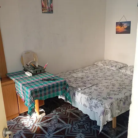 Pine Private 17 * Tirana
