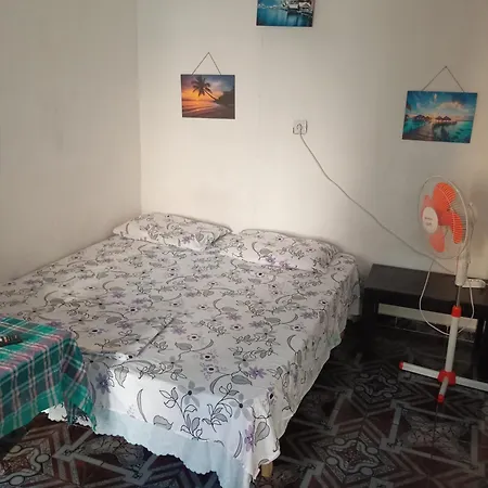 Pine Private 17 Apartament Tirana