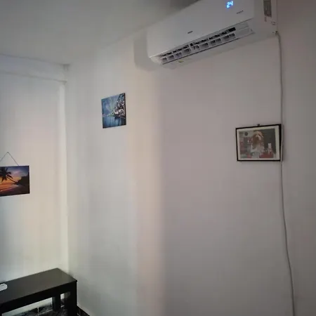 Pine Private 17 Tirana