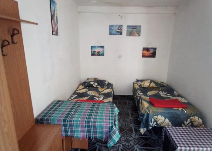 Pine Private 17 Tirana